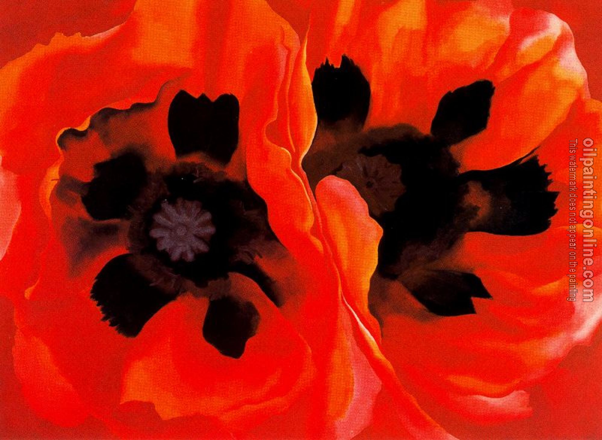 O Keeffe, Georgia - Oriental Poppies II